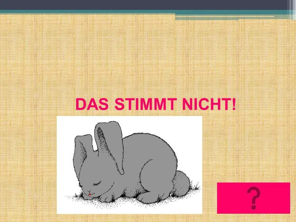 Das stimmt. Stimmt. Das stimmt. Штимт. Das stimmt.