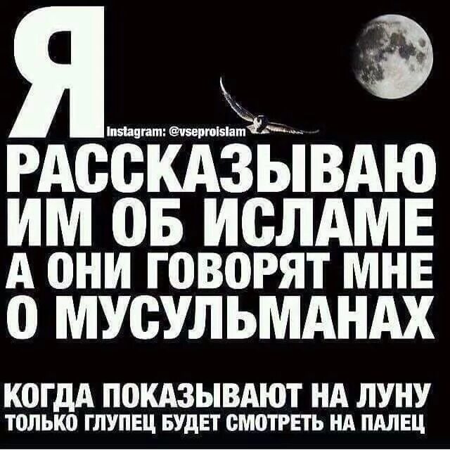 Приветствие на арабском. Красивые статусы мусульманские. Скажи мусульманские слова. Скажи мусульманские слова. Мусульманские мудрости.