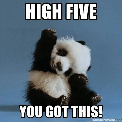 This got me good. High Five meme. Five meme. Пять Мем. Мем с пандой в офисе.