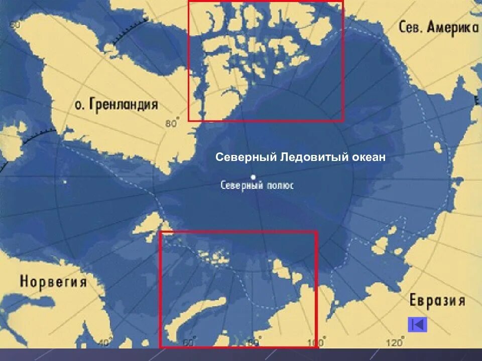 Географическое расположение Северного Ледовитого океана. Северный Ледовитый океан географическое положение океана. Северный Ледовитый океан на карте. Расположение Северного Ледовитого океана.