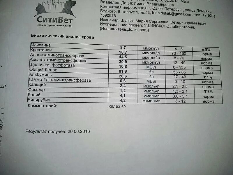 У кота креатинин в моче 2300. Анализ мочи у котов норма. Норма анализа крови у кота. Нормы креатинина и мочевины у кошек.