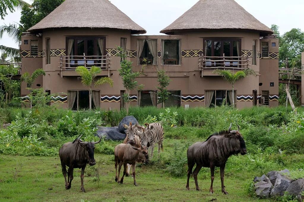 Animal's hotel. Mara River Safari Lodge. Сафари парк Бали. Mara River Safari Lodge, Hotel at Bali Safari.