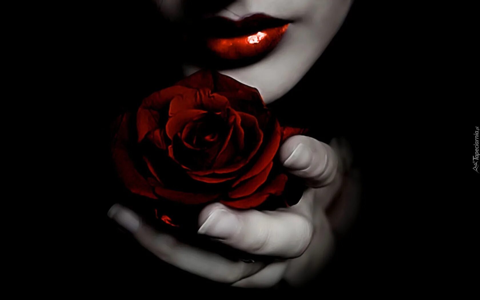 Красные губы с розой. Девушка с красными розами. Цветок губы. Девушка с розой. Красивые губы.
