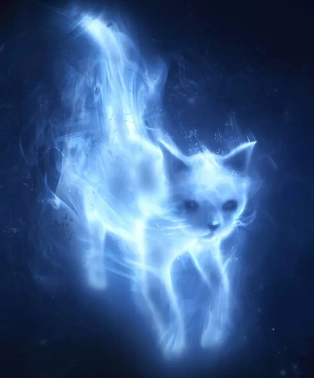 коты воители беззвездное племя. фамильяр призрак. коты воители кошка призрак. коты воители племя луны. патронус гарри поттера.