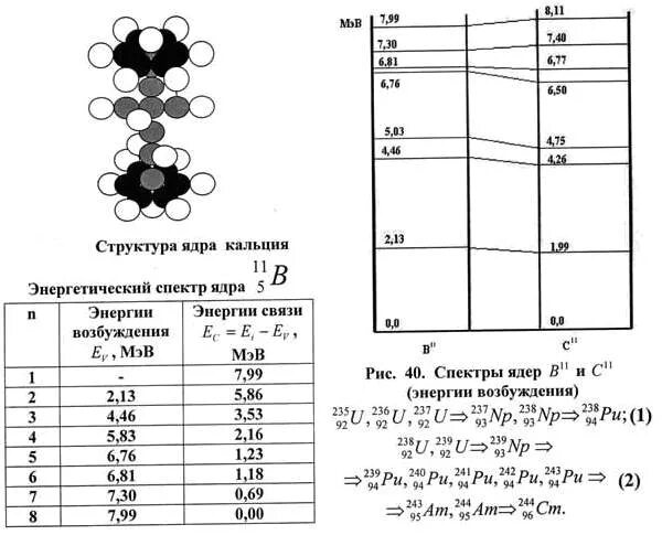 Сколько атомов в кальции. Структура ядра кальция. Энергия связи ядра кальция. Строение ядра кальция. Состав ядра кальция.