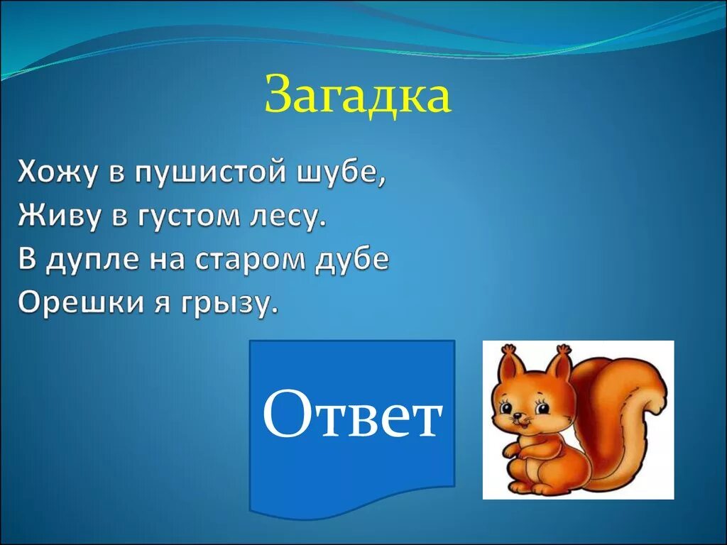 Загадки с картинками для класса. Загадки. Загадки на любую тему. Загадки без отгадок. Загадки без ответов.