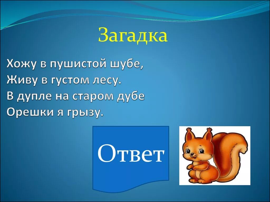 Отвечает снизу. Загадки. Загадки на любую тему. 2 Любых загадки. Любые загадки с ответами.