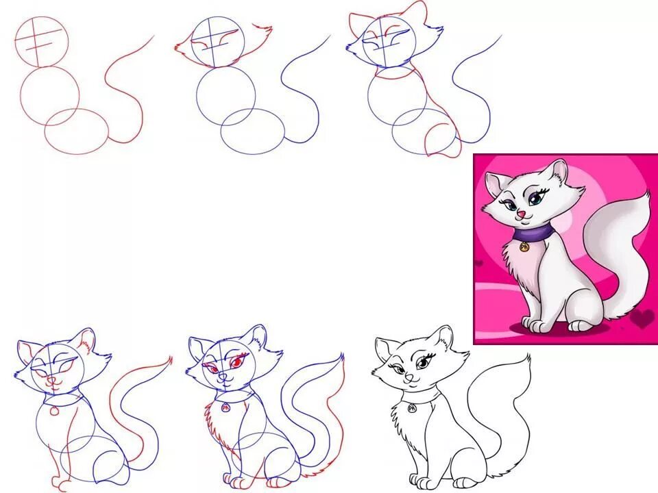 Рисунки пошагово. Поэтапное рисование кота. Рисунок кошки для начинающих. Поэтапное рисование кошки для детей. Быстро просто кошка