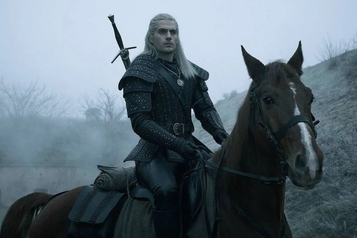 The witcher series