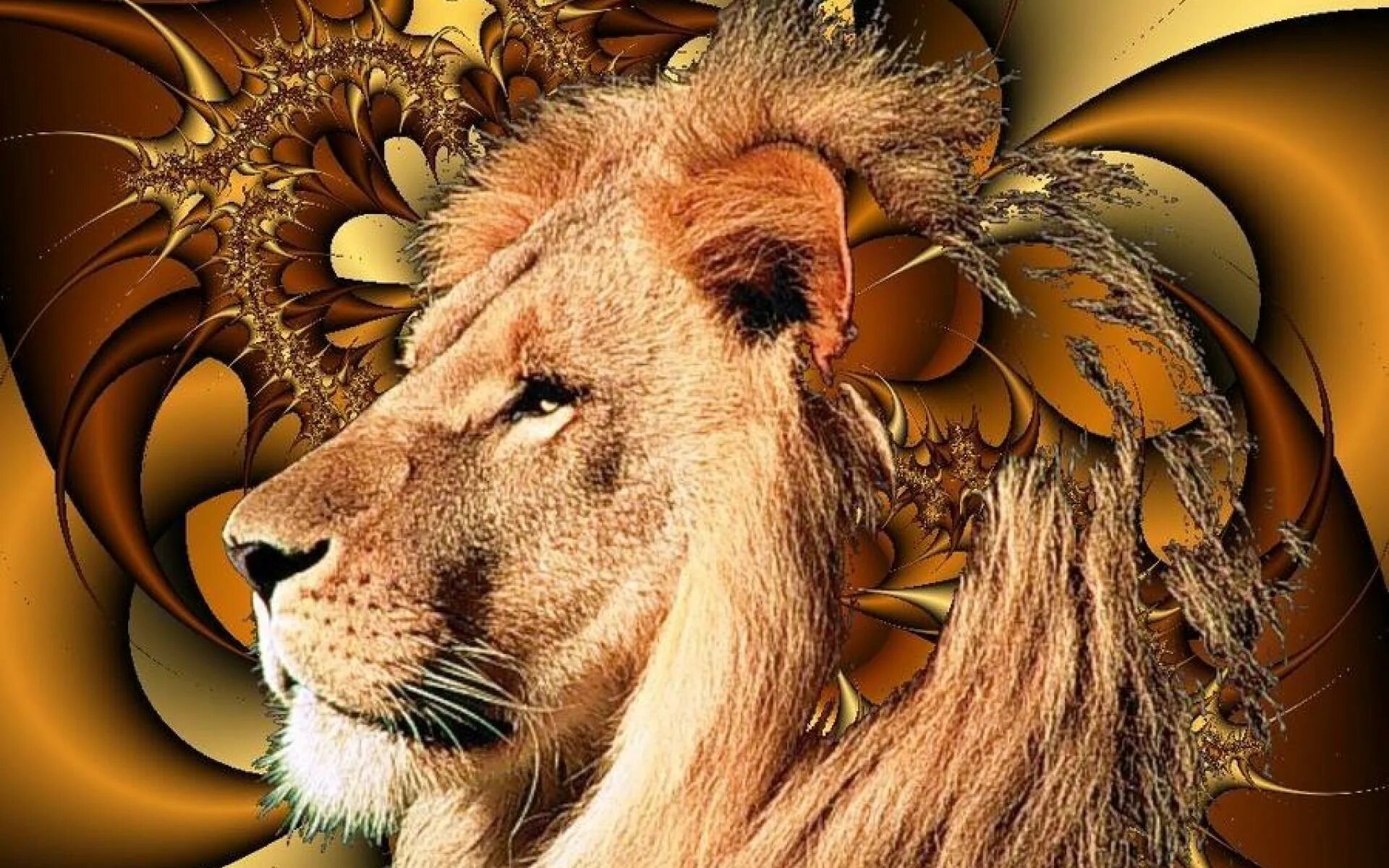 Leo насосы лого. Знак зодиака лев картинки. L t o. L t o. Лео знак зодиака.