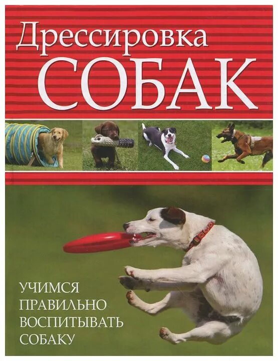 Книги про дрессировку. Книги про дрессировку. Чайник собака. Книжка по дрессировке собак. Книги по дрессировке собак.