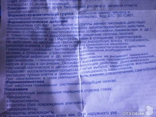 Софрадекс капли инструкция по применению взрослым. Софрадекс. софрадекс капли ушные аналоги. софрадекс капли аналоги. софрадекс действующее вещество аналоги.