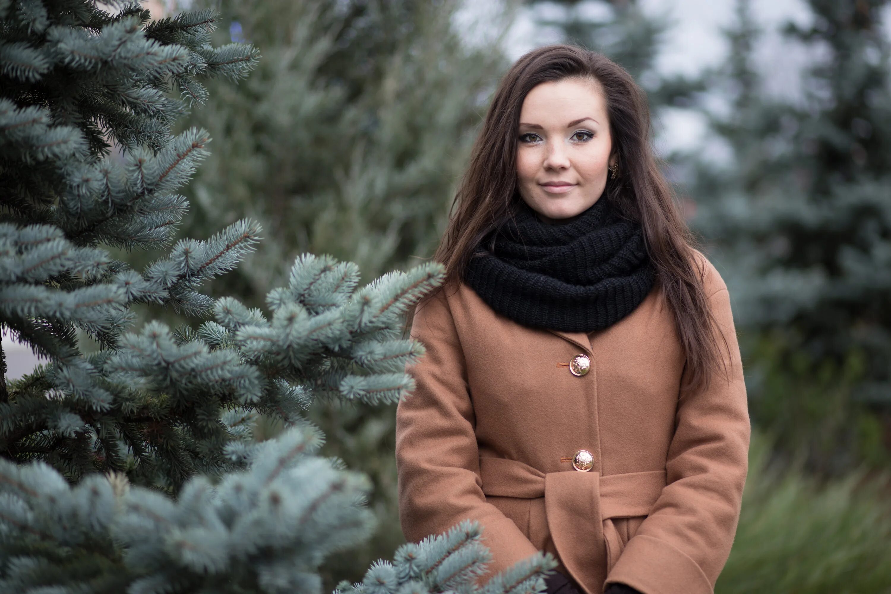 Canon rf 85mm f/1. 8. 8. Canon ef 85mm f/1. Canon ef 85mm f/1.