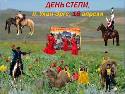 Степь днем
