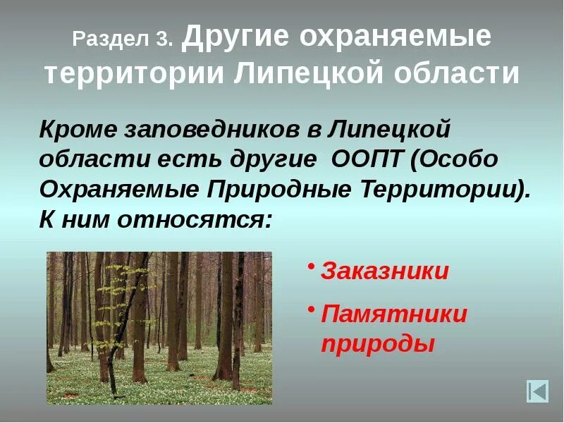 Заповедники липецкого края. Заповедники липецкого края. Елец заповедник галичья гора. Воргольские скалы липецк. Галичья гора заповедник растения.