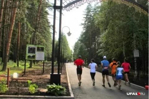 Парк лесоводов адрес