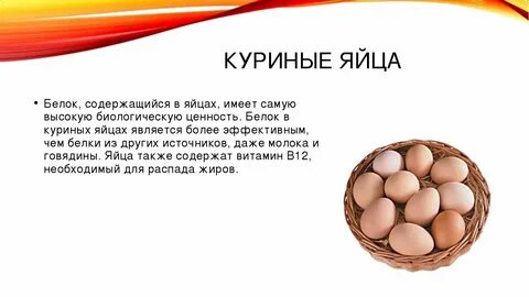 Что содержится в курином белке