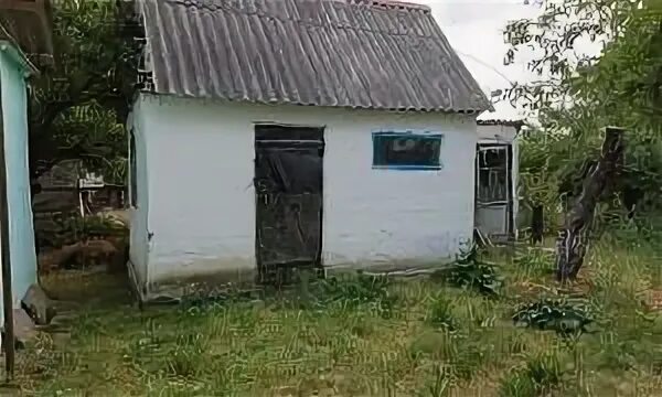 Погода родниковский новокубанский краснодарский край. Погода в новокубанске на сегодня. Краснодарский край новокубанск володарского 16 фото. Станица бесскорбная новокубанского района краснодарского края. Хутор родниковский новокубанский район краснодарский край.