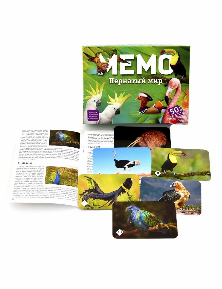 Карточки мемо. Мемо пернатый мир 50 карточек. Игра Мемо птицы мира. Игра наст. Мемо пернатый мир 7952. Карточки Мемо пернатый мир.
