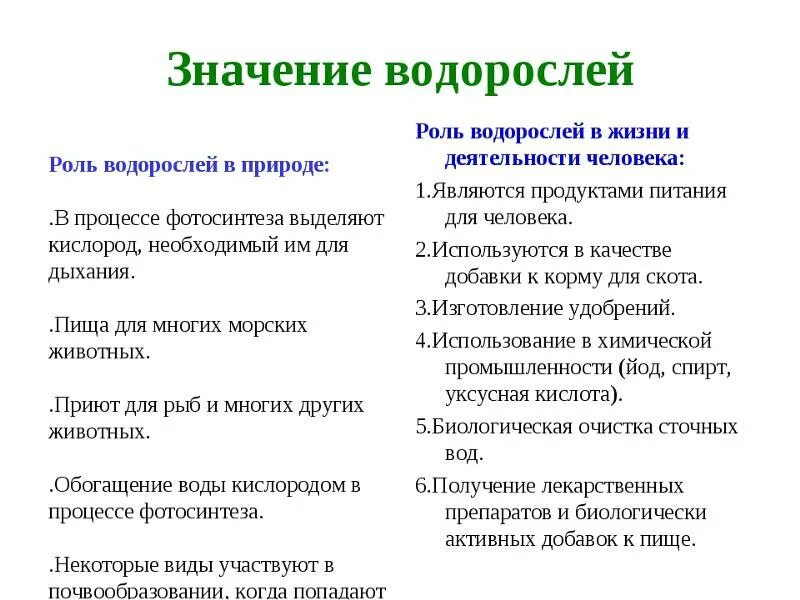 Сообщение о значении водорослей. Значение водорослей в природе и жизни человека 5 класс биология. Роль водорослей в природе и жизни человека 5 класс таблица. Значение водорослей в природе и жизни человека кратко таблица. Значение водорослей в природе и жизни человека 6 класс биология.