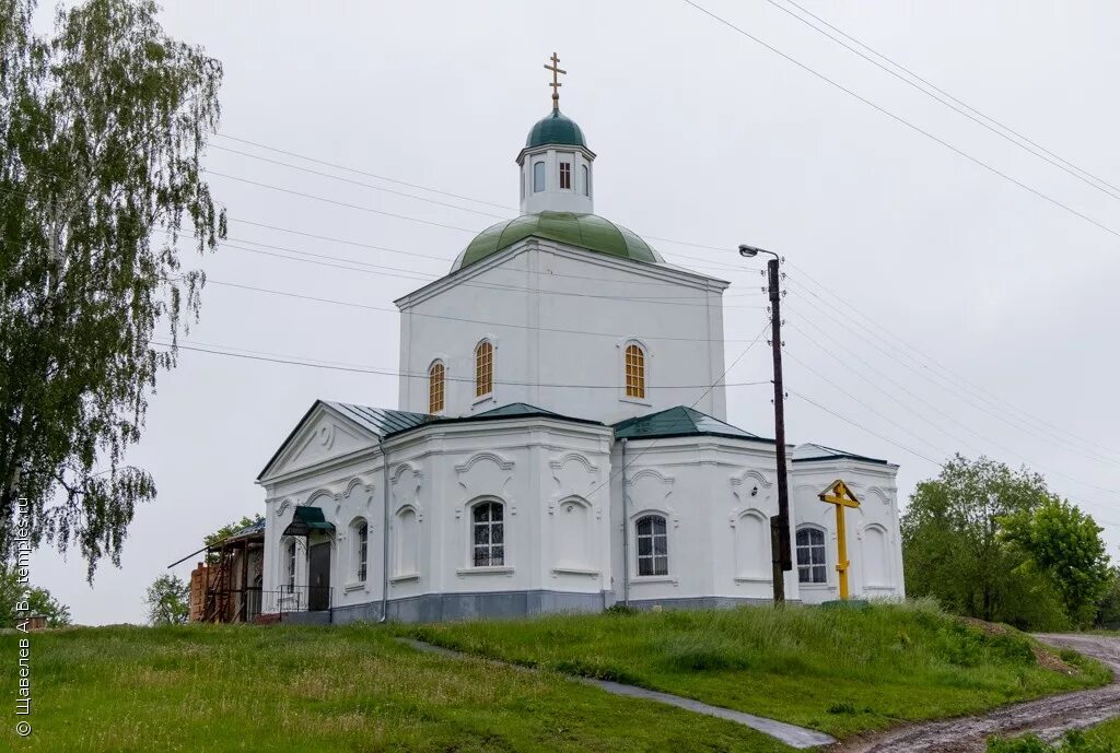 Погода селец трубчевского района