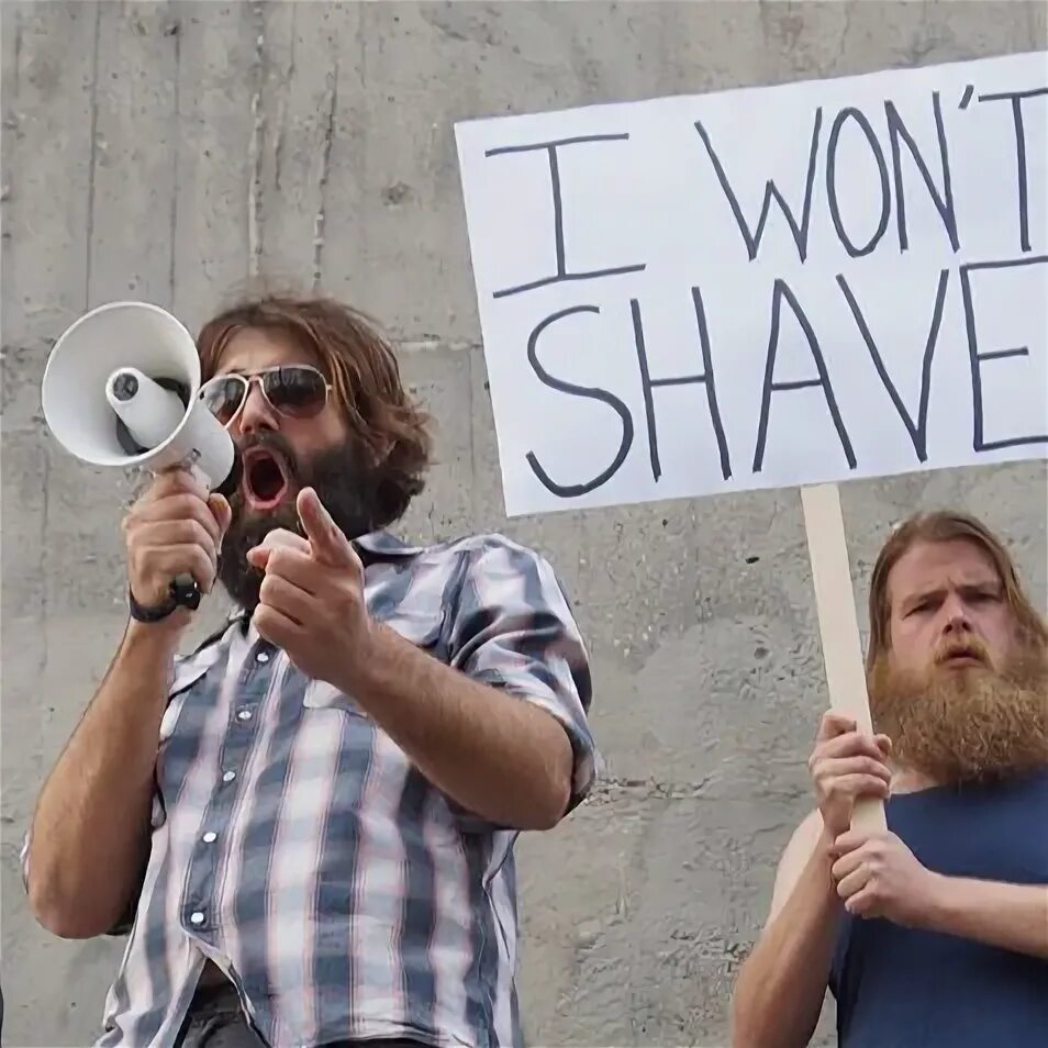 Борода групп. The beards группа.