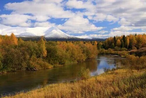 Вишерский заповедник фото По южной границе заповедника "Вишерский" Tripmir