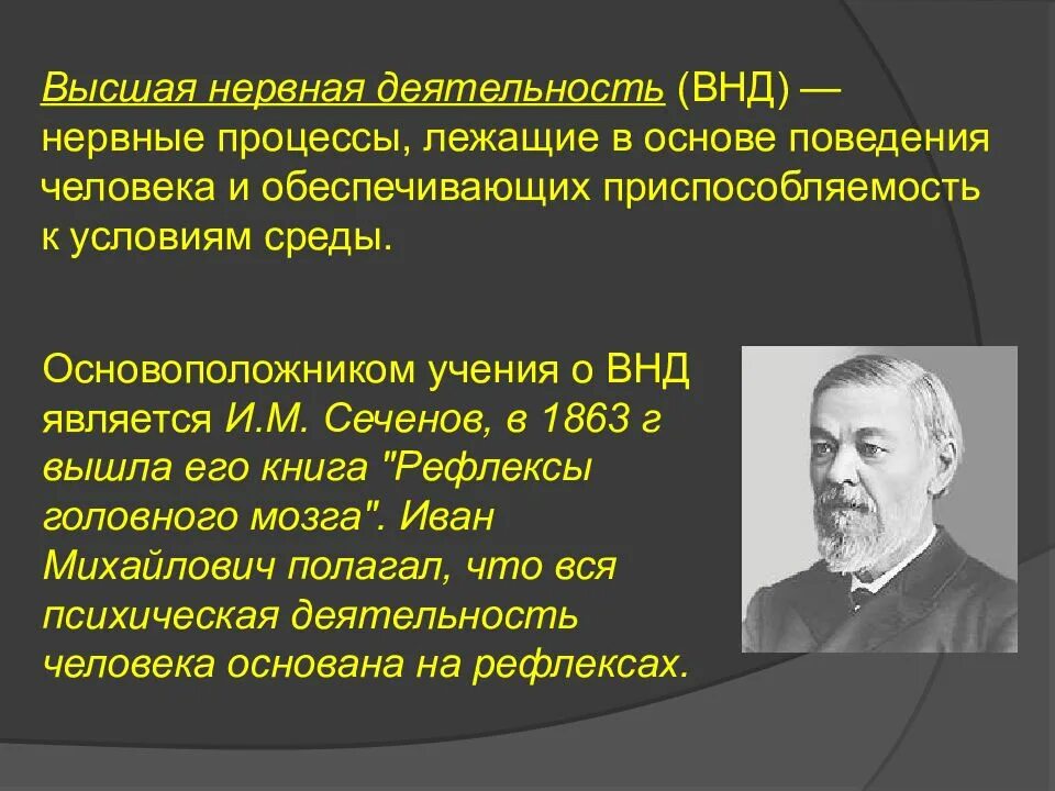 Высшая нервная деятельность. Высшие нервные деятельности. Высшая нервная деятельность (ВНД). Основа высшей нервной деятельности человека. Высшая нервная деятельность человека основа