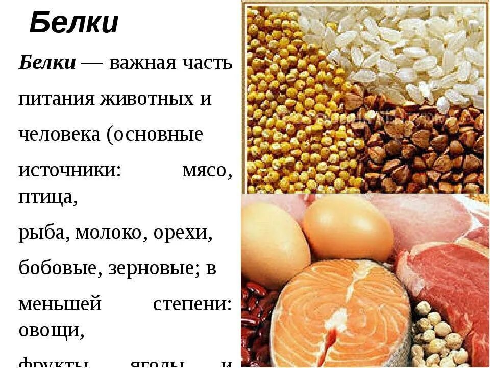 Можно ли белок в пост. Источники белка. Белки продукты. Источники белка в пище. Полезные источники белка.