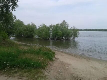 Берег оби