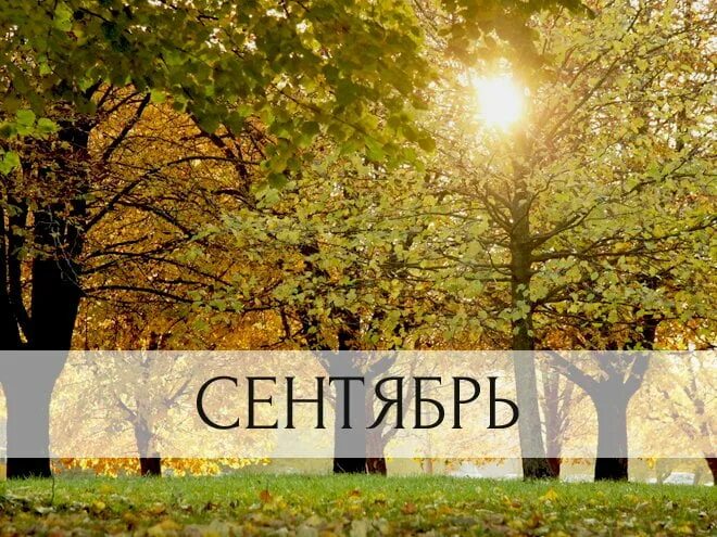 План работы детского сада - месяц ЯНВАРЬ МБДОУ МО Г.КРАСНОДАР "ДЕТСКИЙ САД № 66"