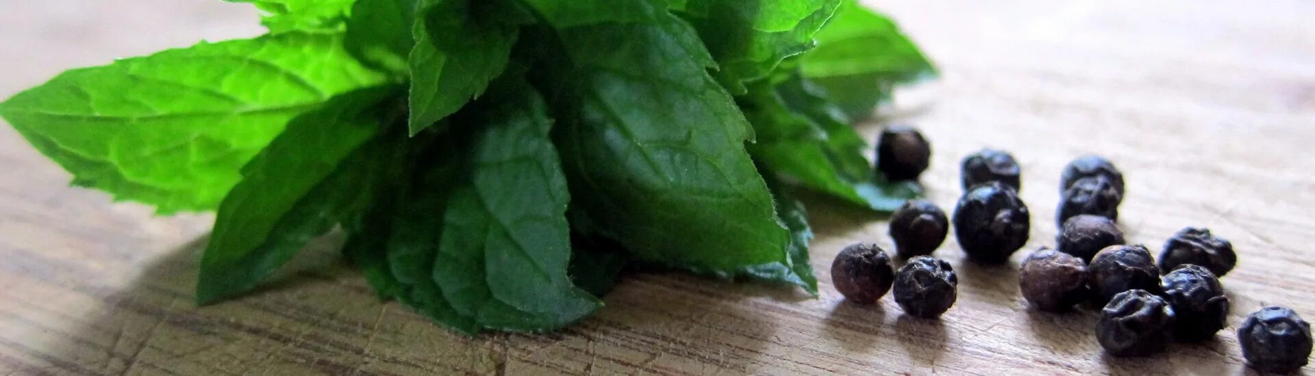 Полезные свойства перца. Можно ли беременным острый перец. Красный жгучий перец чили. Чем полезен острый перец. Полезно ли есть красный перец острый.