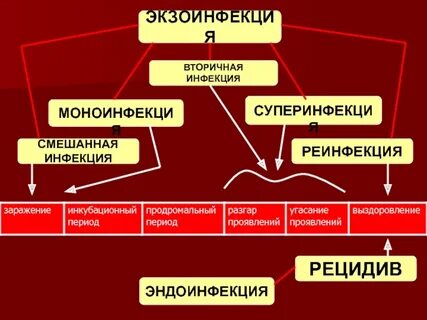 Рецидив реинфекция суперинфекция