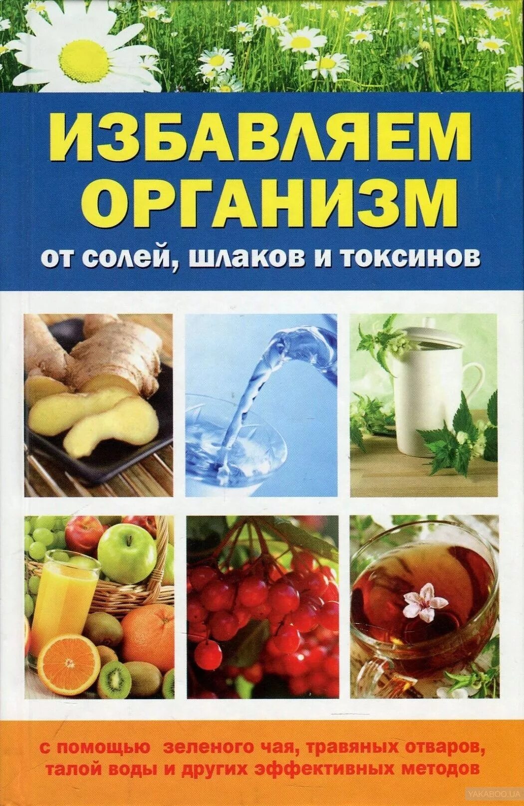 Диеты от шлаков и токсинов. Очищение организма от шлаков. Очищение организма от шлака. Очиститься от шлаков и токсинов. Очищение организма от шлаков и токсинов.