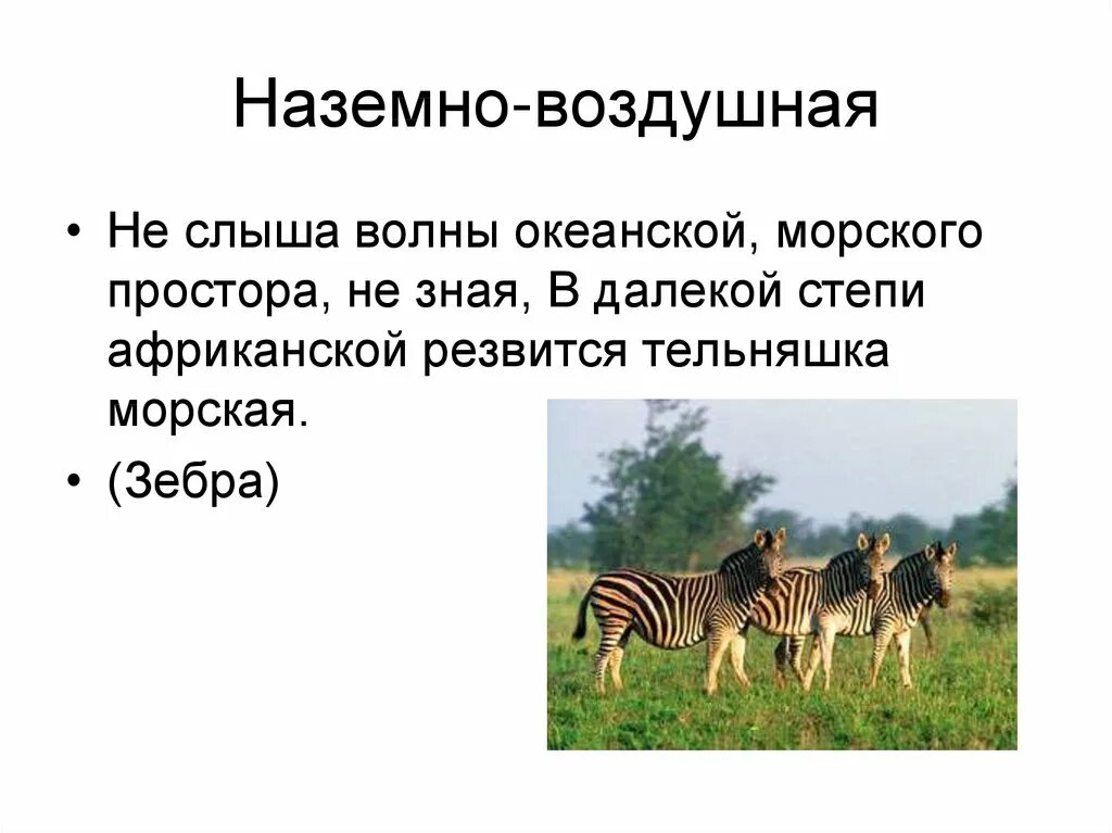 Наземно-воздушная среда обитания примеры. Зебра наземно воздушная. Наземная среда обитания животные. Давление в наземно воздушной среде.