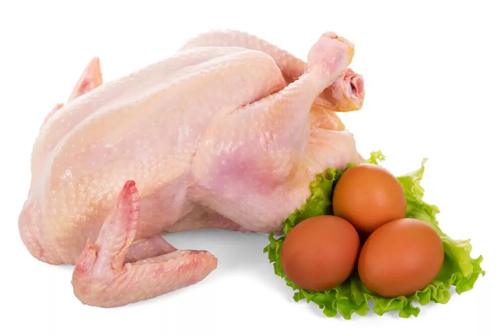 Курица мясо. Мясо птицы и яйца. Мясо птицы и яйца продукция. Яйцо мясная курица