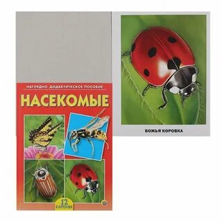 Учебник насекомые