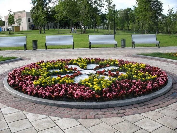 Красная моноклумба. Фото форм клумб. Фото форм клумб. Рабатка тунберга однолетник. Клумба в форме круга.