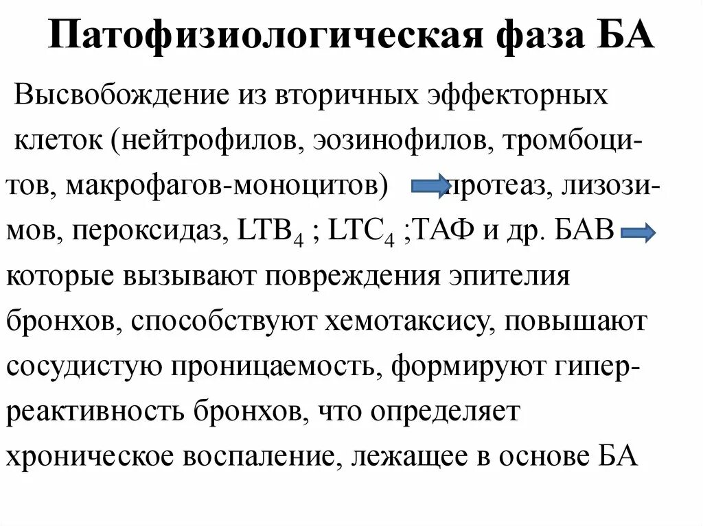 Фазы ба