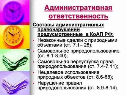 Санкции предусмотренные за административные правонарушения