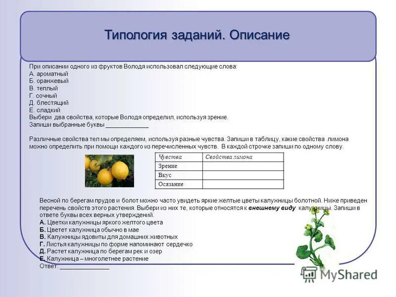 Выберите из приведенного ниже списка примеры