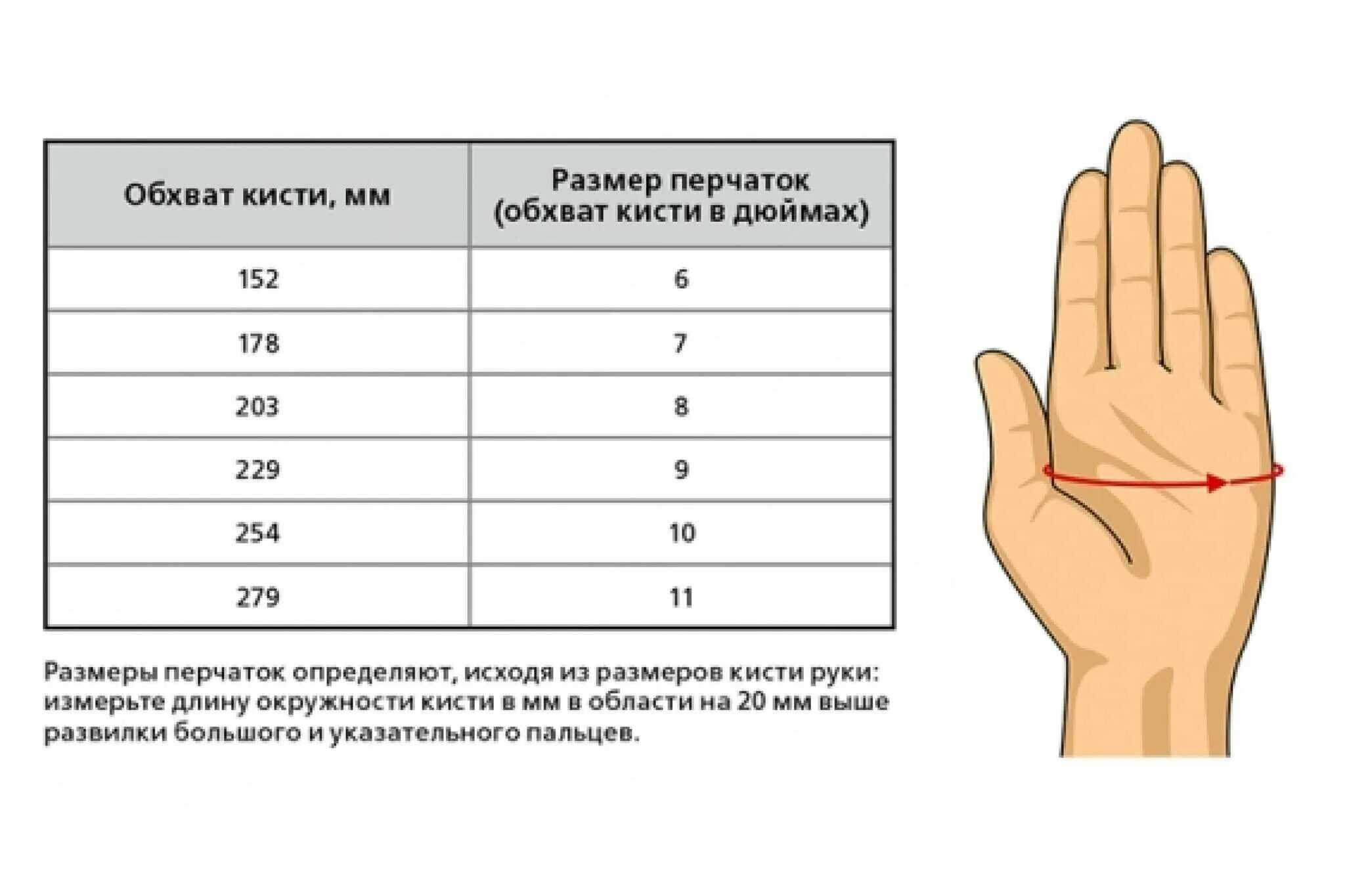 как измеряется обхват ладони для варежек. средняя длина ладони у мужчин. как узнать размер пальца для перчаток. как определить размер перчаток. размер перчатки (размер кисти) 8 дюйм.