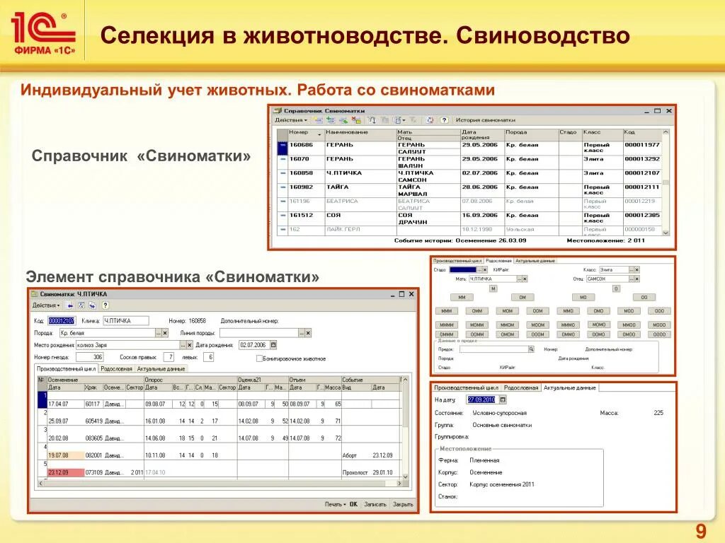 Программа учета животных