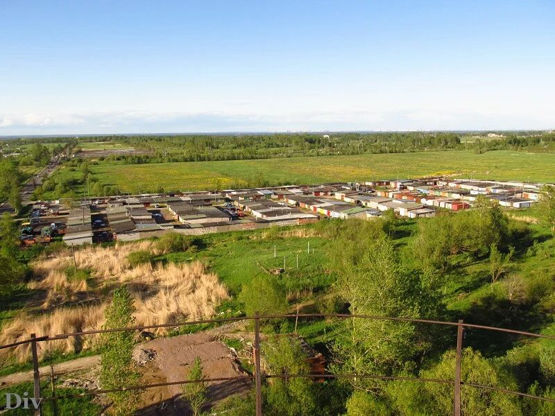 Саянский бройлер город саянск. Петергоф птицефабрика. Птицефабрика красные зори петергоф. Склад птицефабрики. Кучинская птицеферма.