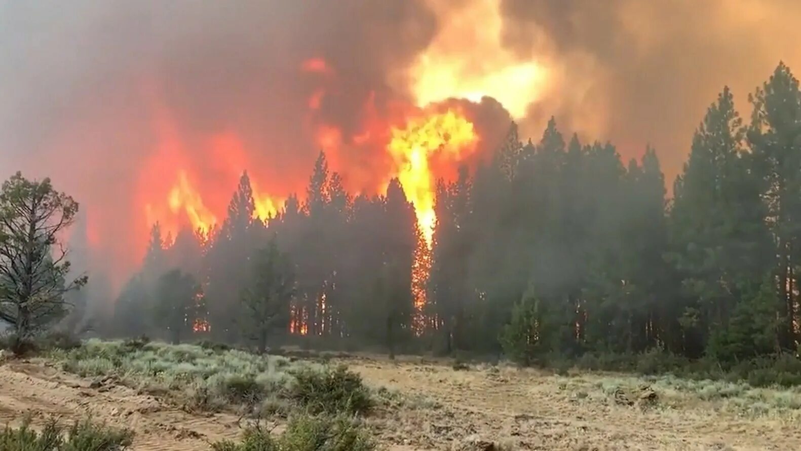 горящий дом. пыльная буря. пожар в доме. ураганы землетрясения наводнения. лесные пожары.