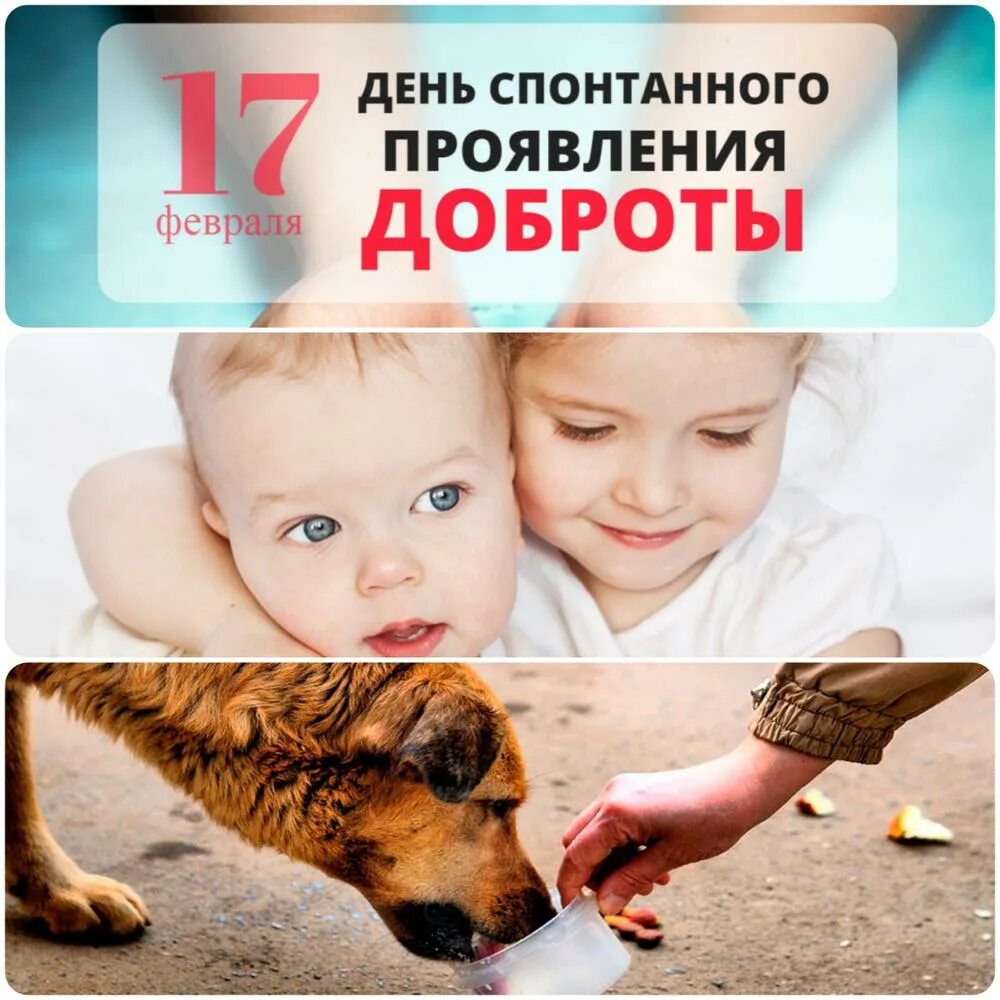 Какой сегодня день 17 апреля 2025. Проявление доброты. день спонтанного проявления доброты. международный день доброты 17 февраля. день спонтанного проявления доброты картинки.