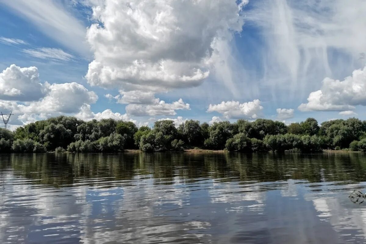 Река упа тула. Реки тульской. Реки тульской. Река упа в туле природа. Река красивая меча липецкая область.