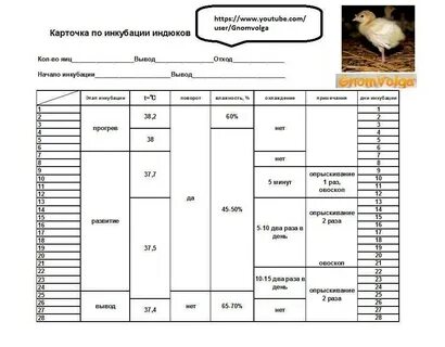 Температура инкубации куриных яиц таблица