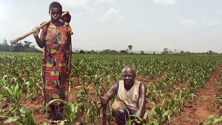 Юар социально экономическое развитие. Структура экономики юар. Юар социально экономическое развитие. Хозяйство,промышленность,сельское хозяйство и северной африки. Экономика южной африки.