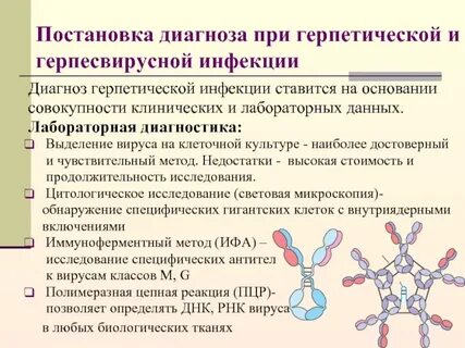 Аногенитальная герпетическая инфекция клинические рекомендации